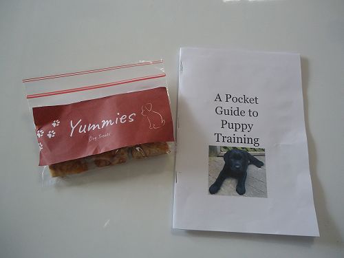 Ellen Riley created this guide for puppy training and also made some peanut-flavoured doggy treats.