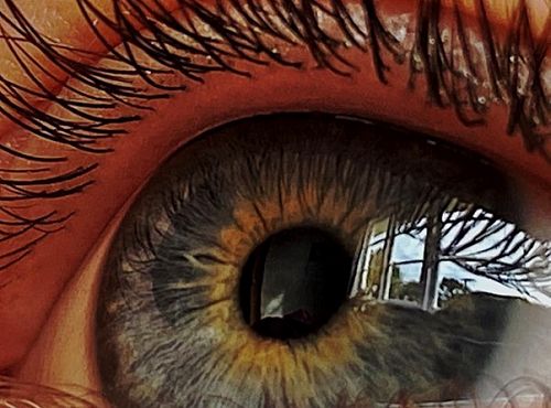 Tasha Mcauley Year 11