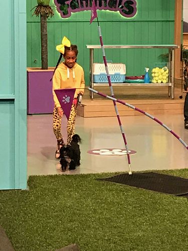 Fanimals TV Show - March 2019