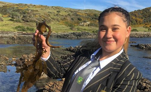 Mana College student holding up a piece of kelp that contains spores, which was collected at a coastal area in Porirua