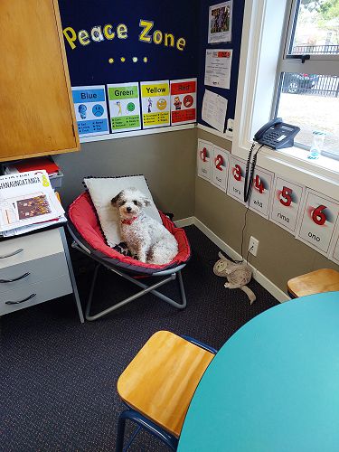 Eddie understands that sometimes we need a break in the peace zone to refocus and is always happy to help.