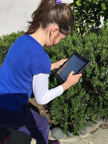 Creative photography techniques in Room 15...