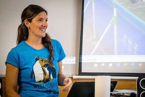 Penguin nasal mite class