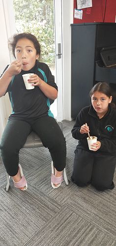 Kapa haka celebration Senior and Middle 2022