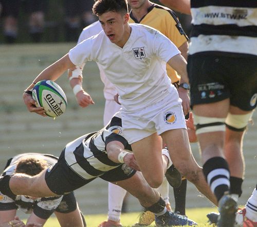 1st XV vs New Plymouth Boys' High School