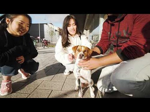 Video: UCIC Campus Video