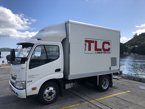 TLC truck collects lobsters from the Whitianga wharf.