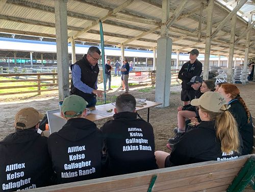 Future Sheep Competition