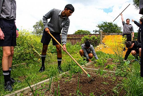 Year 10 Horticulture