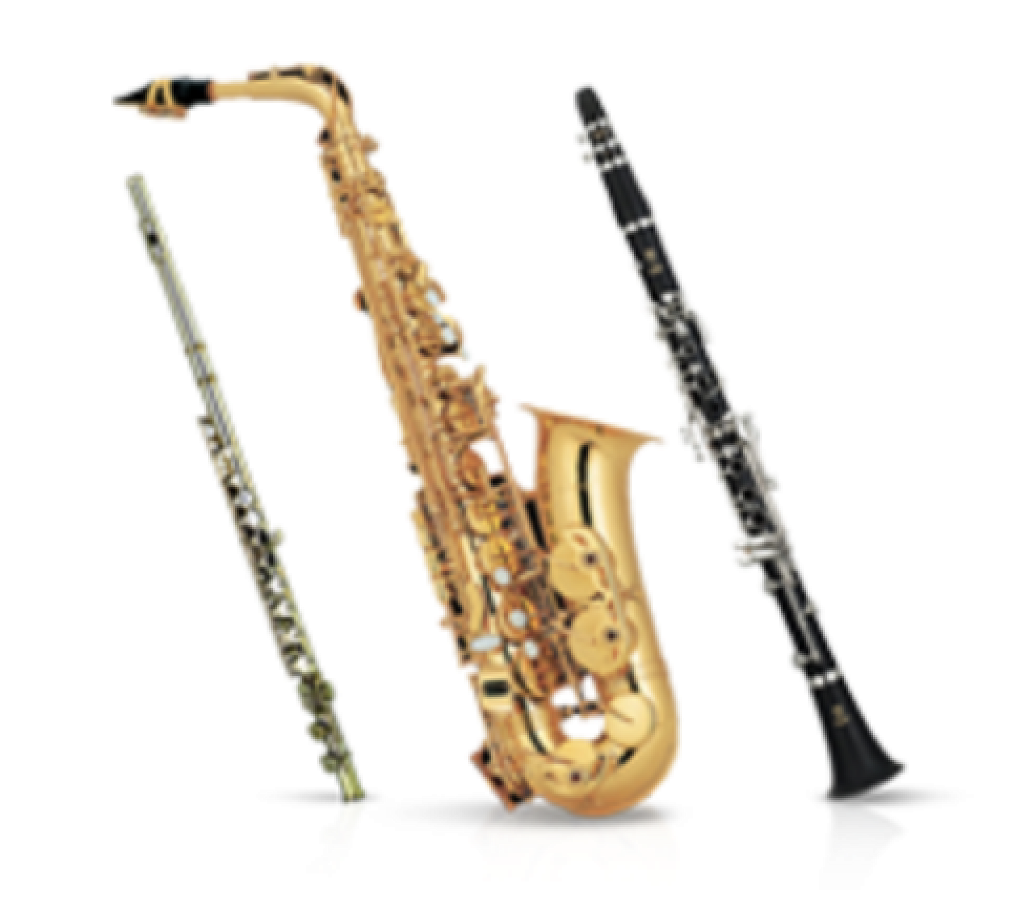 Flute and deals saxophone