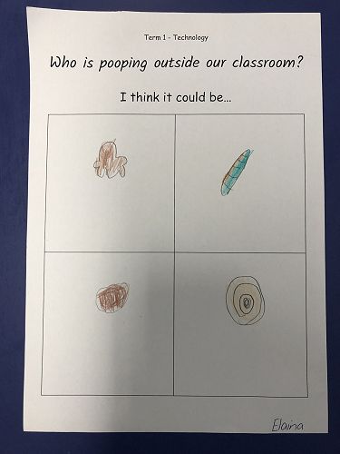 Harakeke Technology Problem