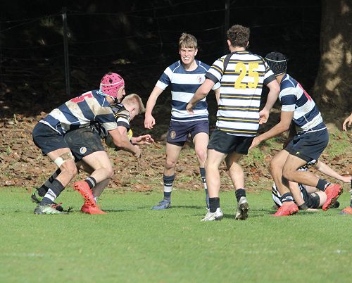 2nd XV vs New Plymouth Boys' High School