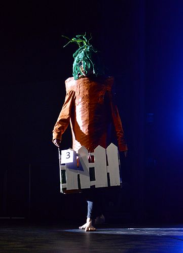 Kareti te whenua - Indie Blomfield