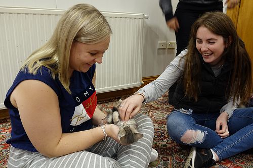 Cuddle Fix - 10 June 2018