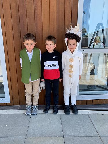 Place getters from Kākano