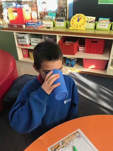 Milkshakes, Rm 3 - T2 2019