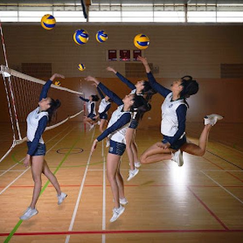 Volleyball, Columba College