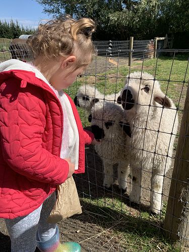 Arion Farm Trip Brianna Wate