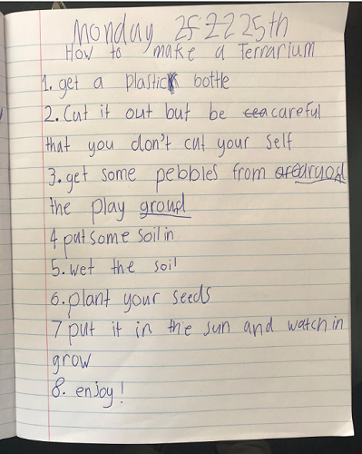 STEAM - Terrarium Making - Team Harakeke