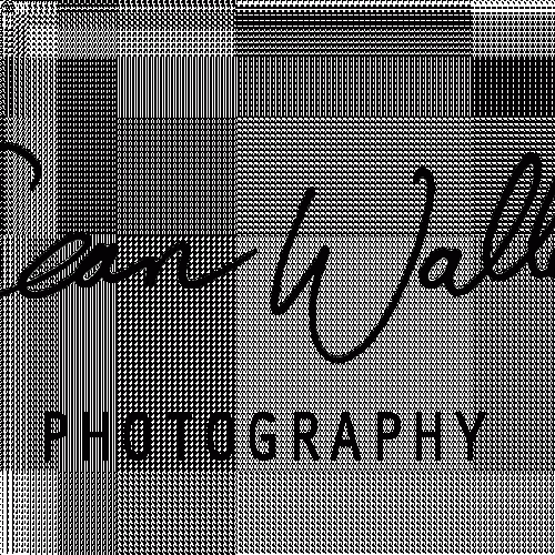 Sean Waller Photography