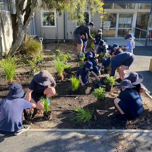 Community Planting day