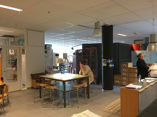 Hellerup Skole, Copenhagen