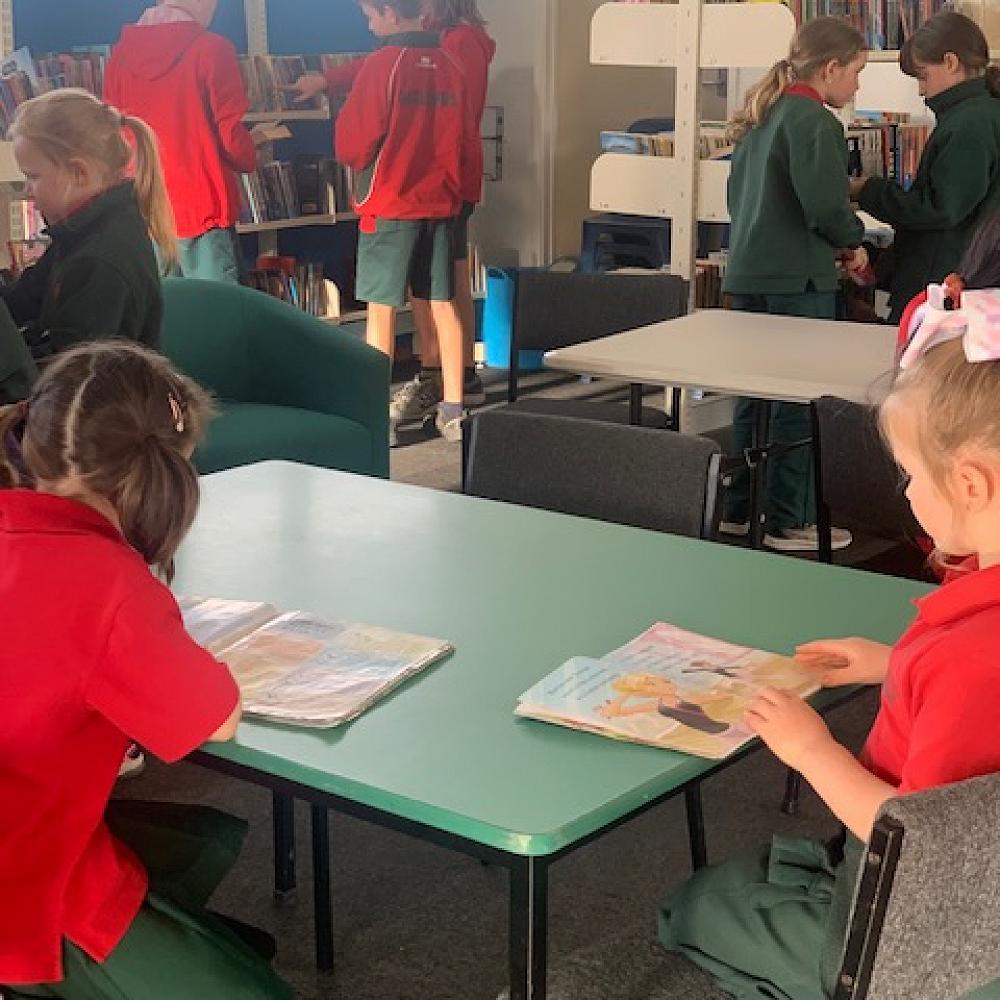 Oaklands School Library Blog