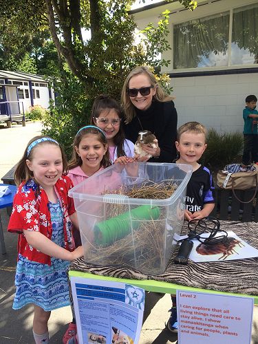 Petting area with Mrs V.