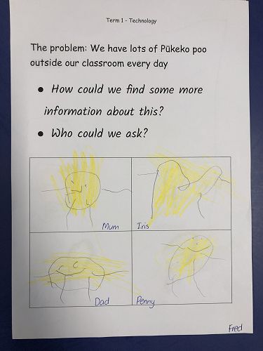 Harakeke Technology Problem