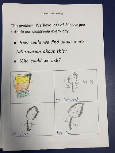 Harakeke Technology Problem