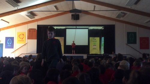 Video: Niamh (Cup Song)