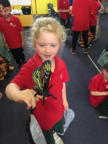 The butterfly lady visits Team Awa