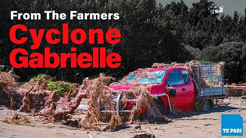 Video: From The Farmers | Stories of Cyclone Gabrielle