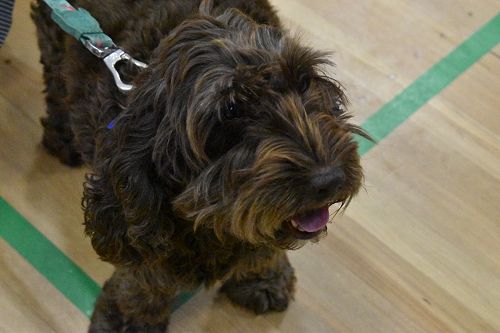 Cultural Roadshow 2021