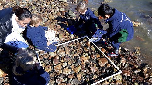 Exploring and recording life in a meter square.