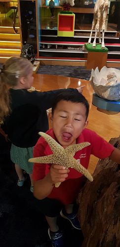 Awa's Trip to the Canterbury Museum