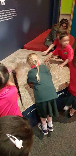 Awa's Trip to the Canterbury Museum