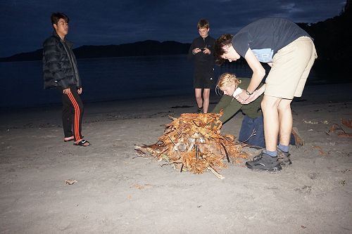 Rakiura international tramp