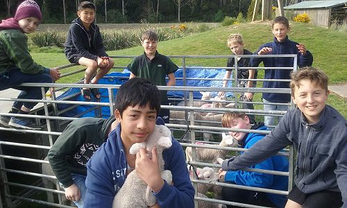 Adventures at Year 7 Camp survival. 