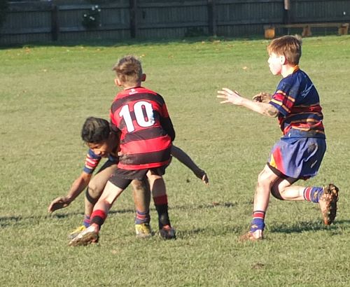 2016 RUGBY UNDER 12 