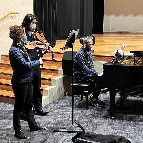 Cathy Irons Chamber Music Coaching