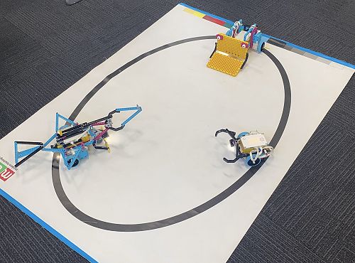 Sumo Robots ready for their final battles
