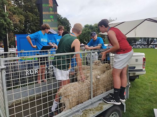Clash of the Colleges - NZ Rural Games
