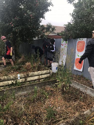 Lots of apples on the trees and lots of weeds in the garden! :)