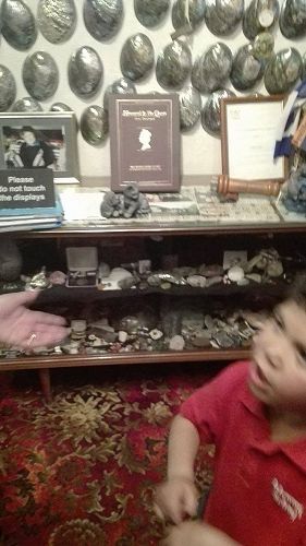 Team Awa's Visit to the Art Gallery and Museum