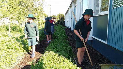 Lucas busy at work raking bark in our Food Forest